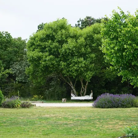 Belle Contemporaine Au Calme Au Milieu Des Chenes Truffiers En Drome Provencale * Visan
